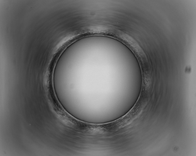 X0000102280583200807251400