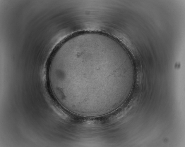 X0000102280584200807251400