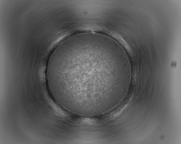 X0000102280585200807251400