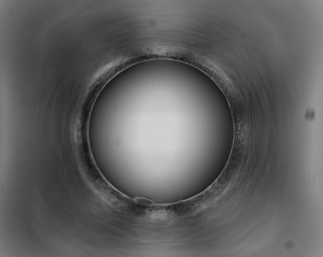 X0000102280587200807251400