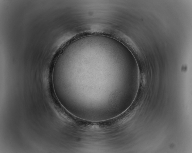 X0000102280588200807251400