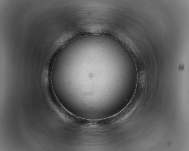 X0000102280589200807251400