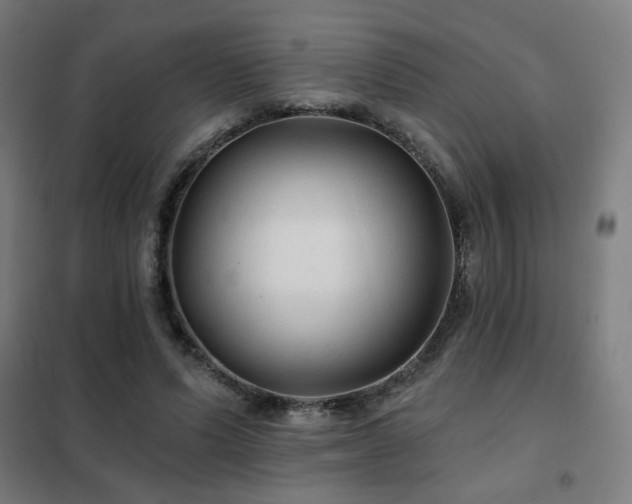 X0000102280591200807251400