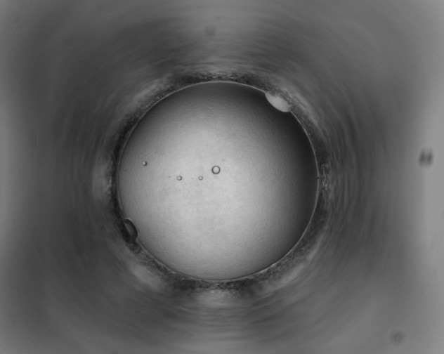 X0000102280593200807251400