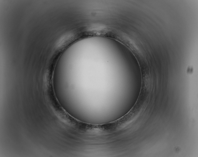 X0000102280594200807251400