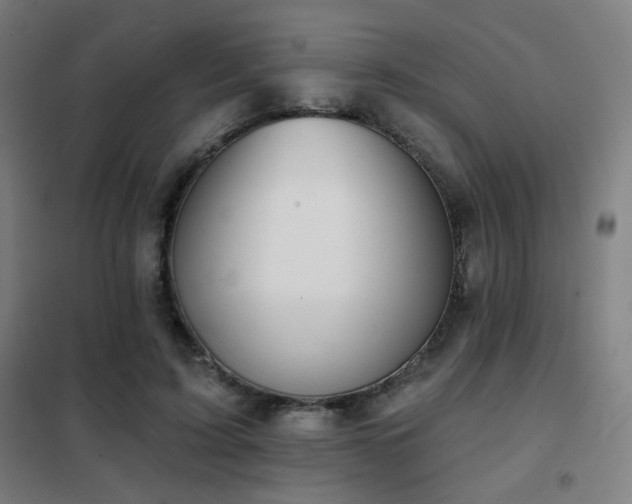 X0000102280595200807251400