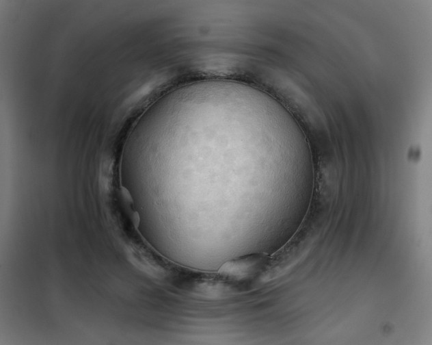 X0000102280596200807251400