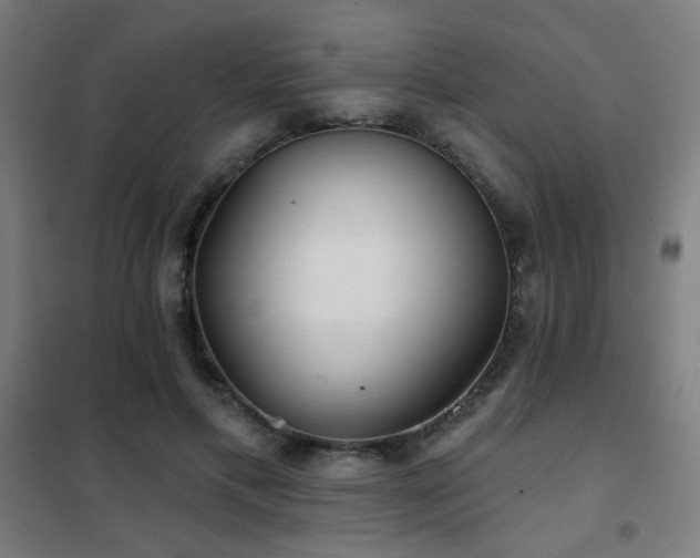 X0000102280597200807251400