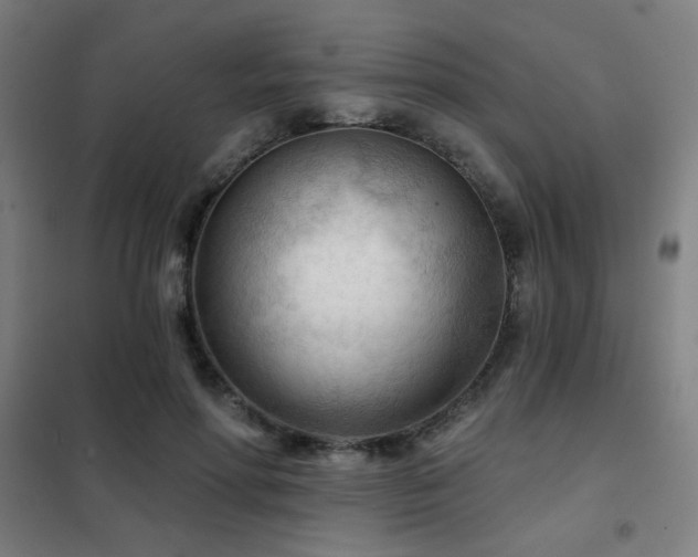 X0000102280598200807251400