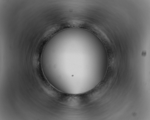 X0000102280599200807251400