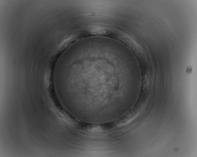 X0000102280600200807251400