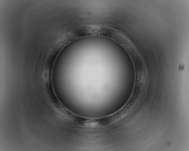 X0000102280602200807251400