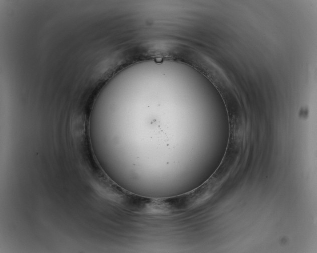 X0000102280603200807251400