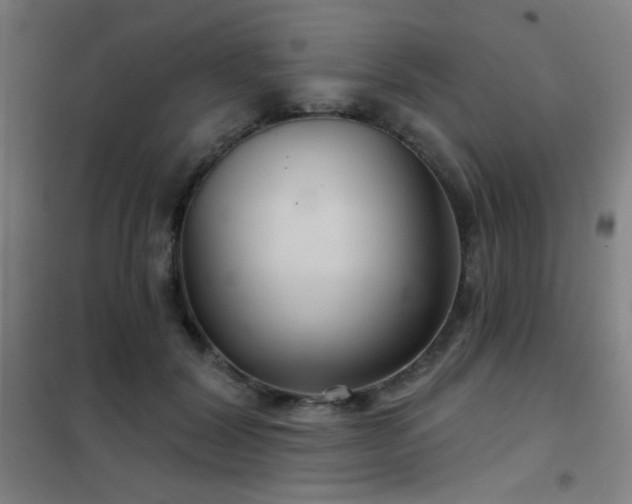 X0000102280604200807251400