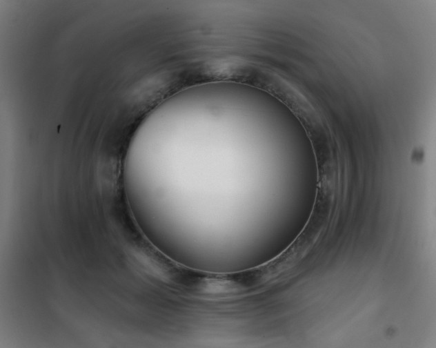 X0000102280605200807251400