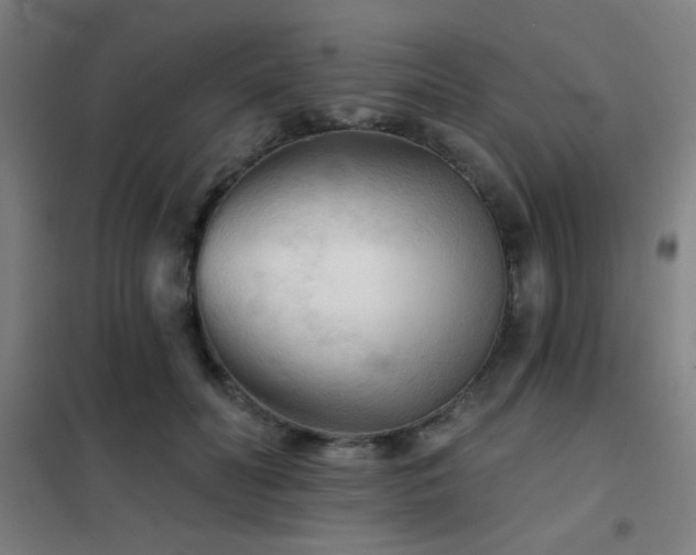 X0000102280606200807251400