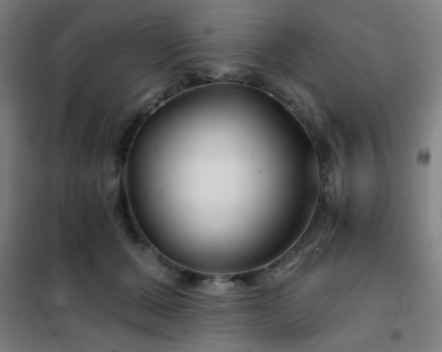 X0000102280607200807251400