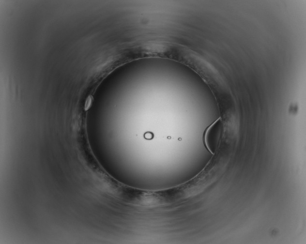 X0000102280608200807251400