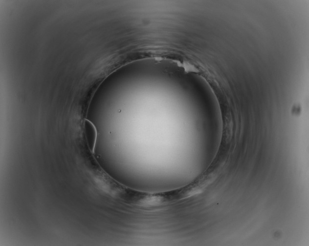X0000102280609200807251400