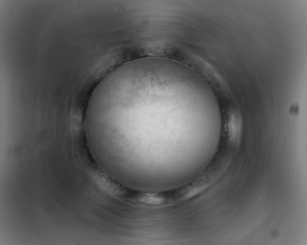 X0000102280610200807251400