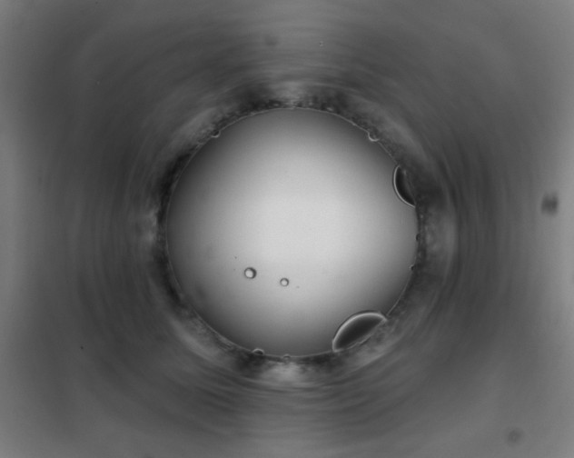 X0000102280611200807251400