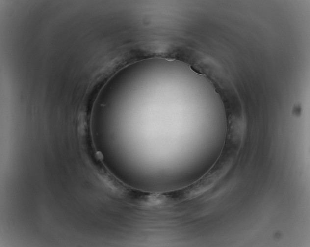 X0000102280612200807251400