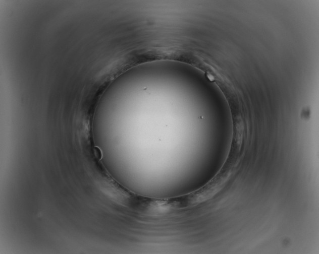 X0000102280613200807251400