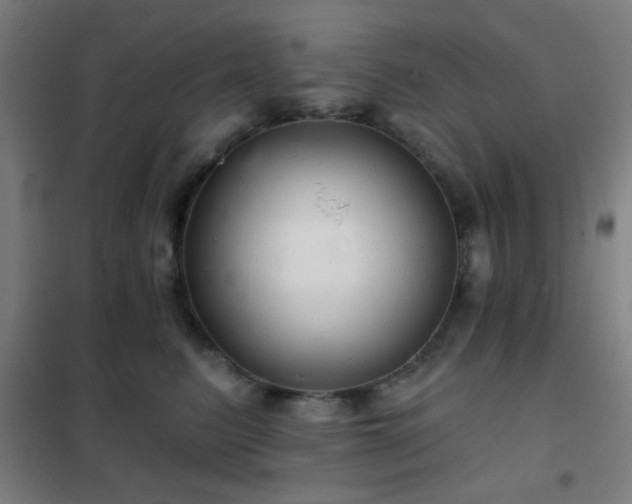 X0000102280615200807251400