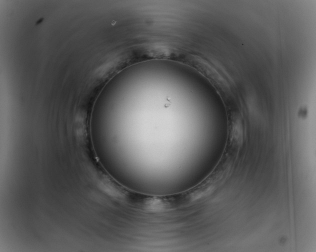 X0000102280616200807251359