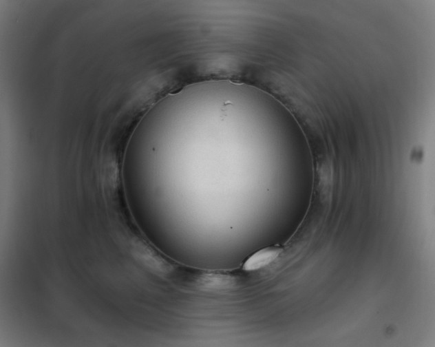 X0000102280617200807251359