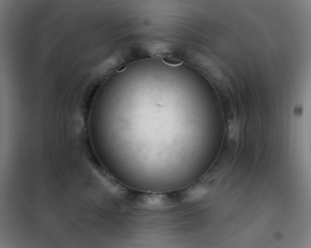 X0000102280618200807251359
