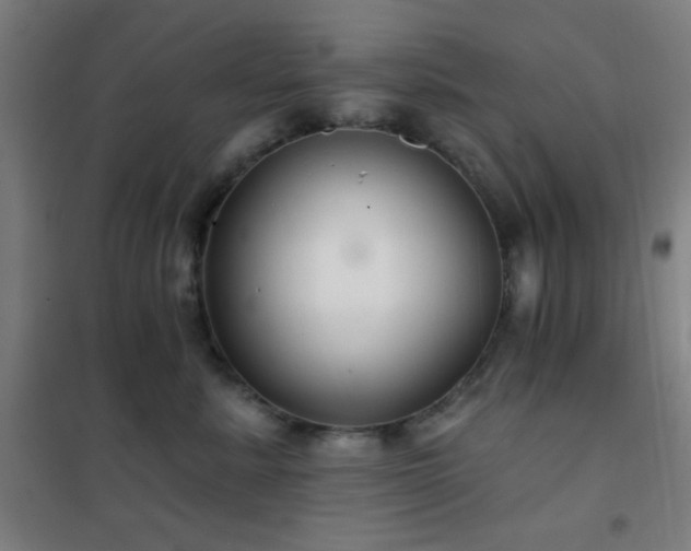 X0000102280619200807251359