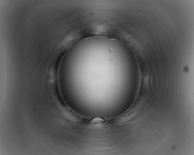 X0000102280620200807251359