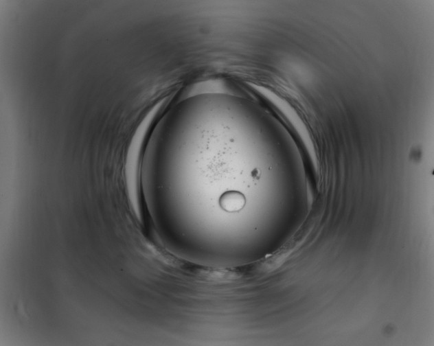 X0000102280621200807251359