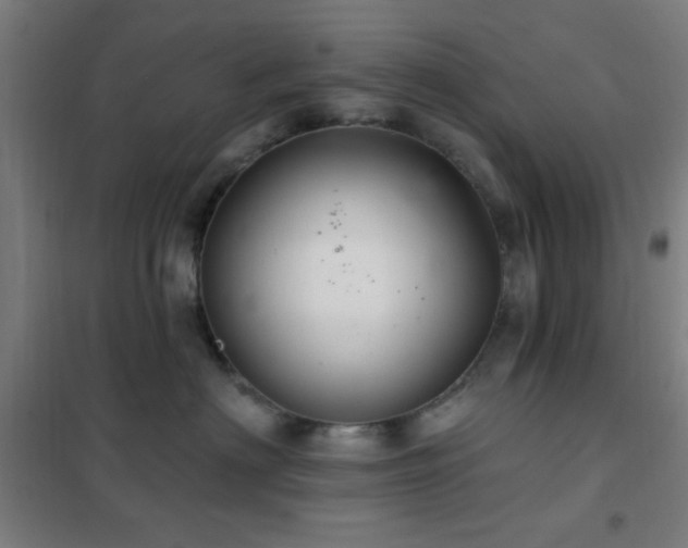X0000102280622200807251359