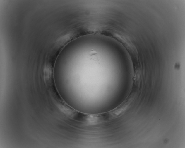 X0000102280623200807251359