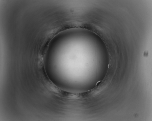 X0000102280624200807251359