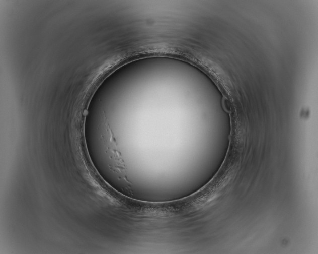X0000102280625200807251359