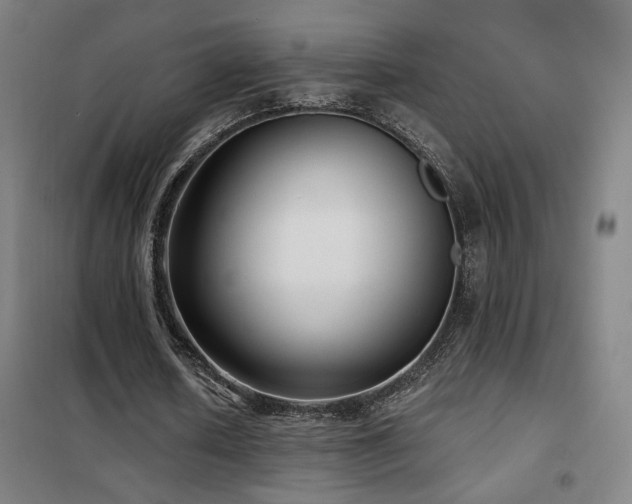 X0000102280626200807251359
