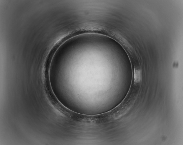 X0000102280627200807251359