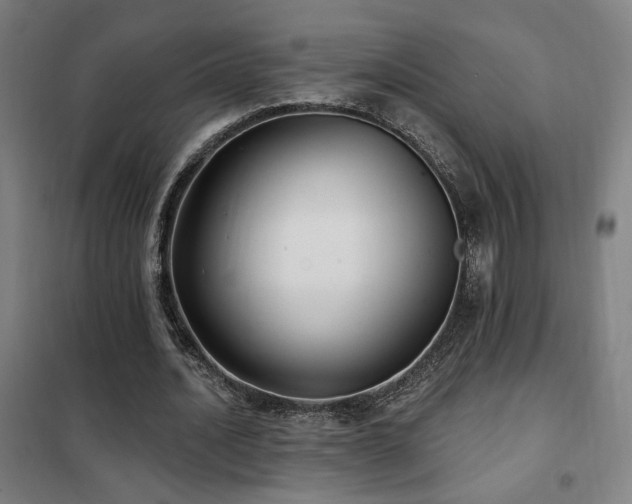 X0000102280628200807251359