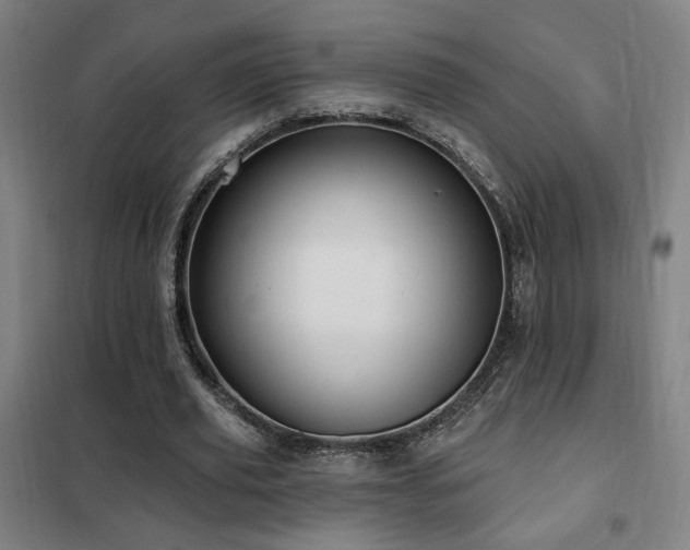 X0000102280629200807251359
