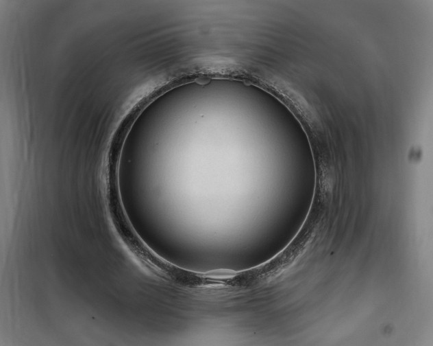 X0000102280630200807251359