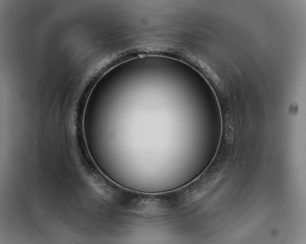 X0000102280631200807251359