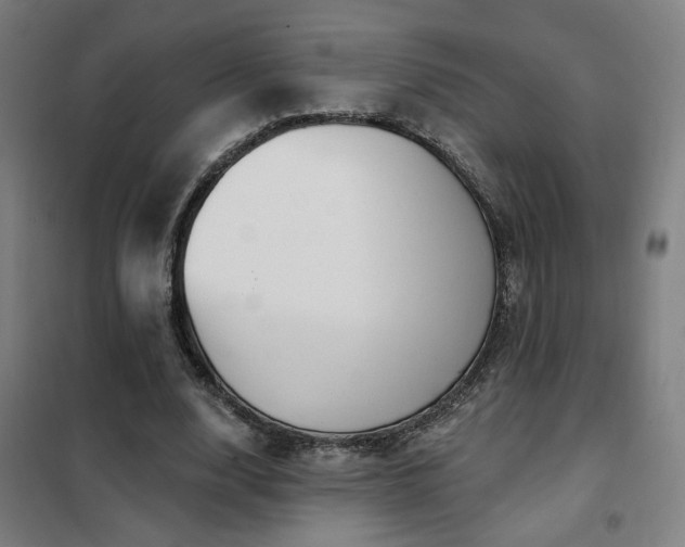 X0000102280632200807251359