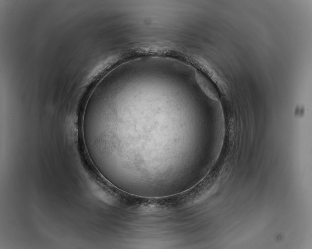 X0000102280634200807251359