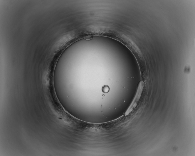 X0000102280635200807251359