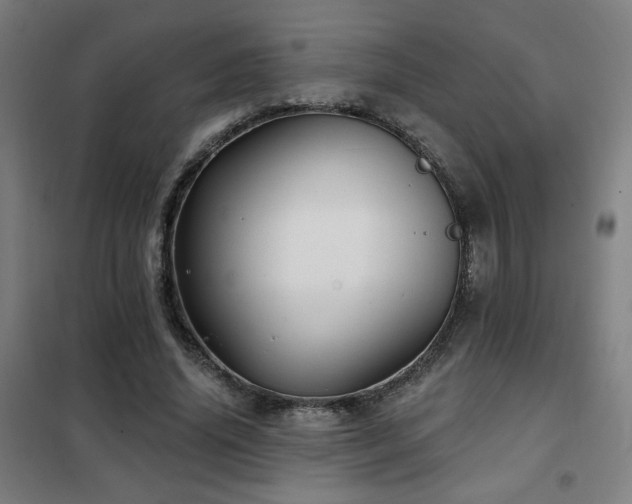 X0000102280636200807251359