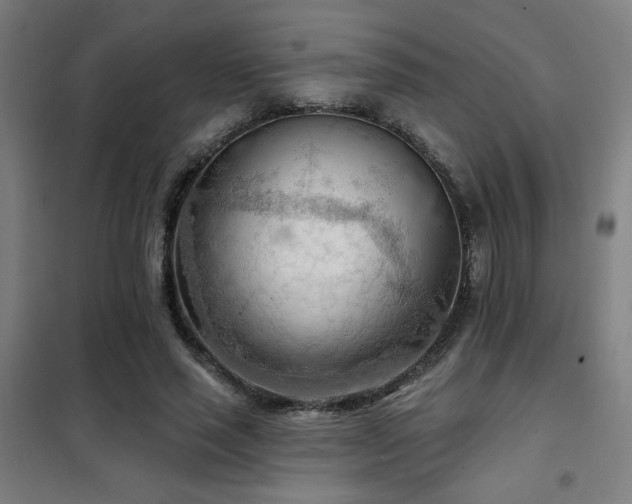 X0000102280637200807251359