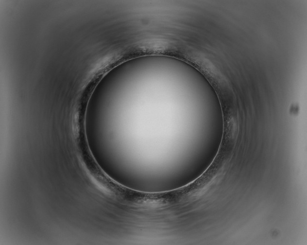 X0000102280638200807251359
